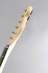 2017 Fender American Professional Deluxe Shawbucker Telecaster Silverburst