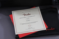 2017 Fender American Professional Deluxe Shawbucker Telecaster Silverburst