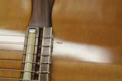 1993 Gibson Chet Atkins Studio CE Classical Guitar ~Rare~