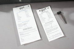 2006 Gibson Flying V Natural