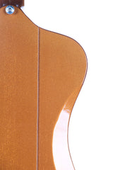 2013 Gibson Firebird VII Skunk Baxter