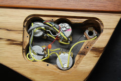 2007 Gibson Firebird V "Guitar Of The Week #12" Zebrawood Wings ~Rare~