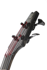 2001 Modulus Quantum Q4 Bass Walnut Top