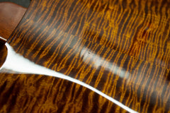 2010 PRS Paul Reed Smith Hollowbody II Black Gold Wrap 10 Top -With Piezo-