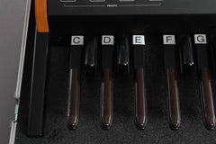 Moog Taurus III With Flight Case