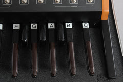 Moog Taurus III With Flight Case