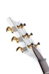 2005 PRS Paul Reed Smith Custom 24 Dave Navarro Signature