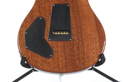 2015 PRS Paul Reed Smith DGT David Grissom Signature Violet Flame Top