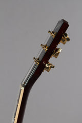 2017 Gibson Les Paul Limited Edition Premium Plus Tiger Burst #79/150