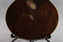 1973 Gibson ES-335 TD Walnut Electric Guitar