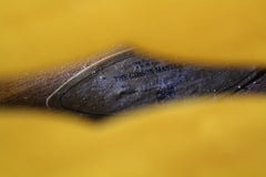 1989 Gibson L4-CES Archtop Guitar Natural ~James Hutchins~