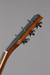 2014 Gibson 120th Anniversary Les Paul Standard Premium Plus Honeyburst Perimeter Quilt Top