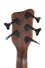 2002 Warwick Thumb Bass 5 String Neck Thru NT-5 -EBONY FINGERBOARD-