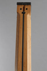 Chapman NS Stick 8-String Multi-Mode Instrument