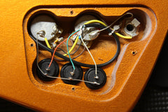 2013 Gibson Firebird VII Skunk Baxter Electric Guitar