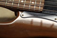 1982 Fender Walnut Precision P Bass Special ~Rare~