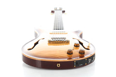 2014 PRS Paul Reed Smith Hollowbody II Artist Package with Piezo -BRAZILIAN ROSEWOOD FINGERBOARD-