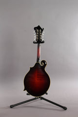 2007 Weber Yellowston F Style Mandolin