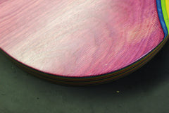 2013 Gibson Les Paul Zoot Suit Rainbow