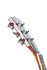 2012 Gibson Les Paul Standard Premium Plus Honey Burst AAA Flame Top 60's Neck