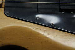 1976 Gibson Grabber Bass Guitar