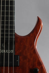 2003 Modulus Quantum Q 5 String Fretless Bass Guitar -Walnut Top-