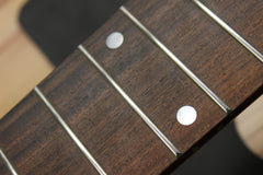 1991 Ken Smith Burner 6 String Bass