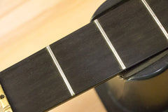 1995 Alembic Epic 5 String Bass