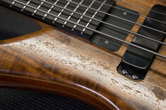 1995 Alembic Epic 5 String Bass