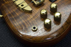 1995 Alembic Epic 5 String Bass