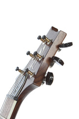 2010 Paul Reed Smith 25Th Anniversary Modern Eagle III