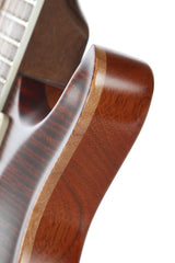 2010 Paul Reed Smith 25Th Anniversary Modern Eagle III