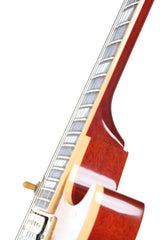 2010 Gibson Les Paul AFD Slash Appetite For Destruction