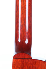 2010 Gibson Les Paul AFD Slash Appetite For Destruction