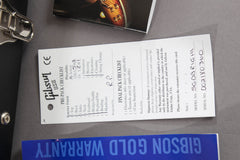 2008 Gibson Sg Diablo "Guitar Of The Month" Metallic Silver