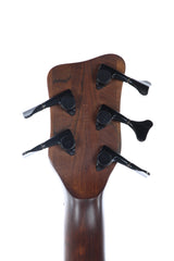 2002 Warwick Thumb Bolt On 5 String Bass