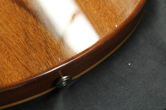 2009 PRS Paul Reed Smith Al Di Meola Prism