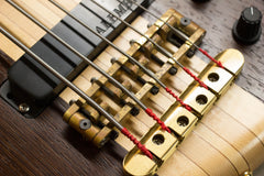 1997 Alembic Rogue 5 String Bass Guitar