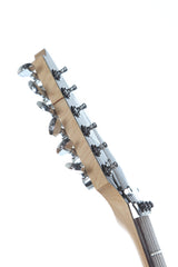 2005 Ibanez Jem 77 BRMR Steve Vai "Bad Horsie" Mirror