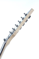 2005 Ibanez Jem 77 BRMR Steve Vai "Bad Horsie" Mirror