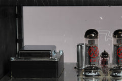 Hughes & Kettner Triamp MKII Alex Lifeson 100 Watt Tube Head