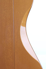 2013 Gibson Firebird VII Skunk Baxter Electric Guitar