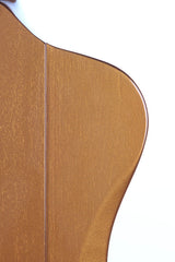 2013 Gibson Firebird VII Skunk Baxter Electric Guitar