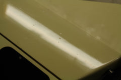 2005 Gibson Firebird V Alpine White