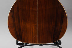 2013 Santa Cruz OM Grand 1934 Spec Brazilian Rosewood Back & Sides