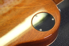 2001 Gibson Les Paul Standard Plus Honeyburst -NON CHAMBERED-