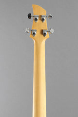 2008 Ampeg ADA4 Dan Armstrong Lucite 4-String Bass Guitar ~Extra Pickup~