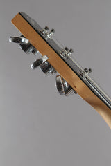 2009 Gibson Zakk Wylde Bullseye BFG Les Paul