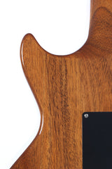 Gibson Custom Shop Alex Lifeson Les Paul Axcess Viceroy Brown AL 165