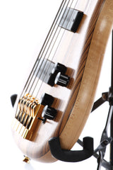 1999 Pedulla Thunder Bass ET5 Zebrawood